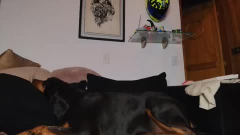 Lian Oconner online show from May 5, 3:52 am