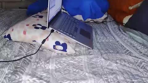 Blake online show from January 18, 1:40 am