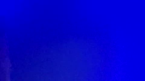 Snapshot of lickyouryoni chatting on February 6, 3:20 pm LickYourYoni online show from February 6, 3:20 pm