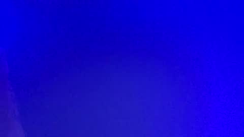 Snapshot of lickyouryoni chatting on March 3, 2:53 pm LickYourYoni online show from March 3, 2:53 pm