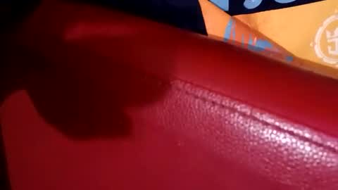 longone2600 online show from October 1, 2:43 pm