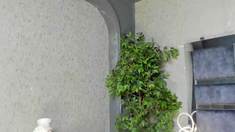 Louis online show from November 30, 6:48 am