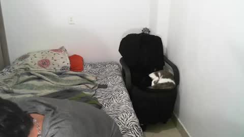 Lucky online show from March 7, 2:57 am