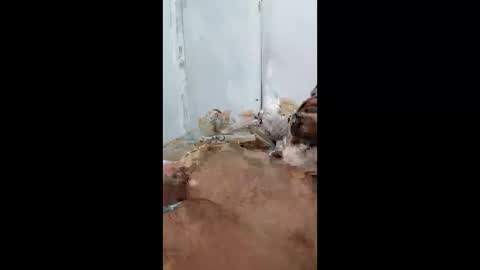 luisrossirodrigues online show from April 21, 8:53 am