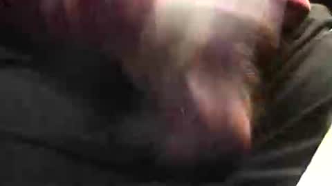 lukestarfckr online show from January 19, 3:47 pm