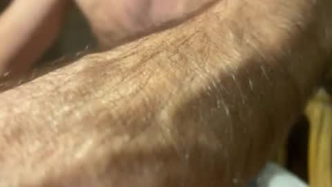 lupushorny online show from November 21, 5:06 am