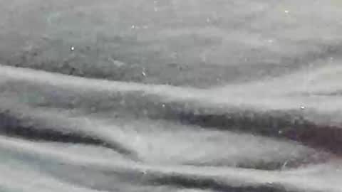 lustgardener67 online show from January 9, 11:24 pm