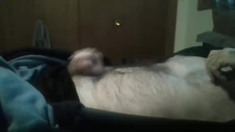 luvtowatch75 online show from December 2, 3:34 pm