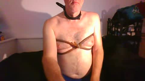 Snapshot of malebdsmslut chatting on January 29, 9:12 am CommandbondageNipples bondage kink submissive lovense slave wgear. modequiethvyBondage If Password goldfish online show from January 29, 9:12 am
