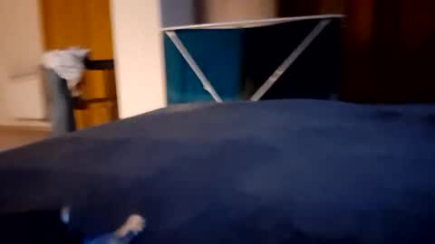 markusdewlin93 online show from April 11, 7:17 pm