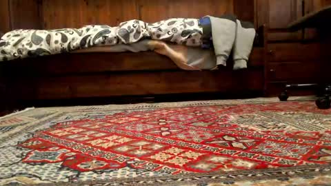 markusxxo online show from March 22, 8:41 am