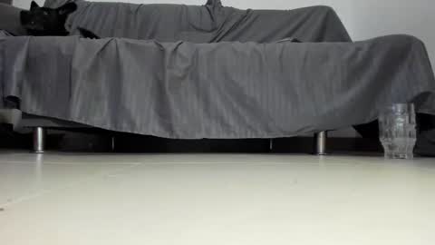 cash master jose online show from November 1, 2:37 am