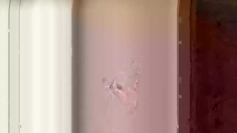 Meau Lest online show from February 16, 2:20 am