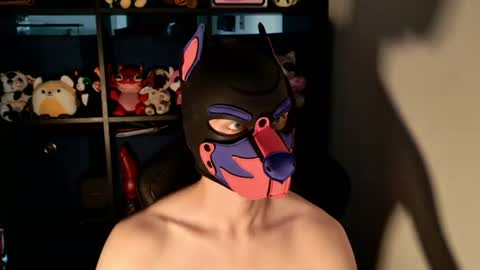 MellPUP online show from July 29, 1:10 pm