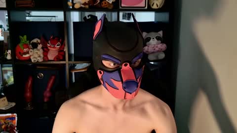 MellPUP online show from July 14, 6:14 pm