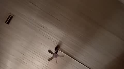 mikemike11k online show from February 2, 9:23 pm