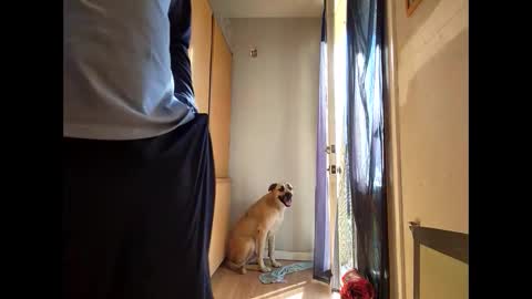 MMY  DDY online show from December 21, 9:25 pm