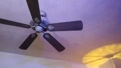 BobbyMitchGa online show from February 12, 12:44 pm