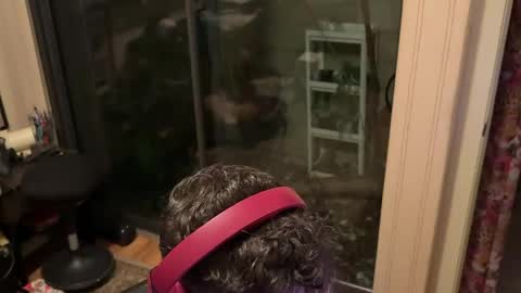 Alex online show from April 13, 10:27 am