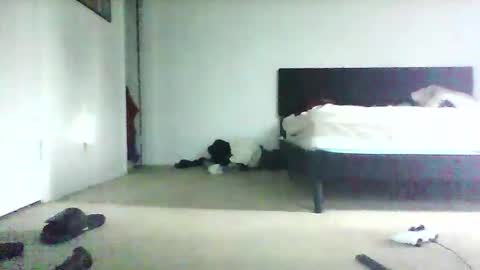 Deanthony online show from January 26, 7:31 pm