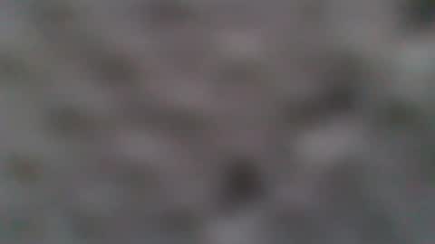 moey213 online show from January 27, 11:54 am