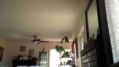 Monkee Dance online show from March 1, 9:14 pm