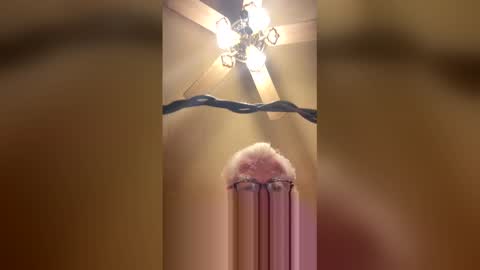 moonstar9191 online show from April 13, 12:06 pm