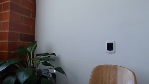 Abelardo online show from March 20, 6:12 pm