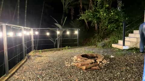   online show from February 7, 3:02 am