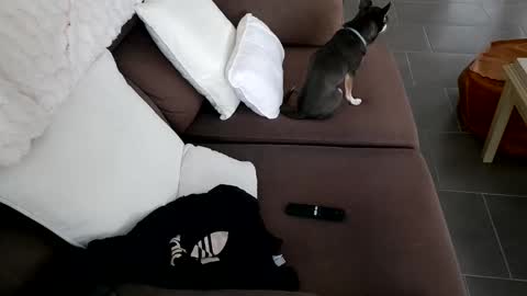 morris_bi69 online show from December 14, 2:24 pm