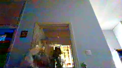 mppempis81 online show from November 27, 7:01 am