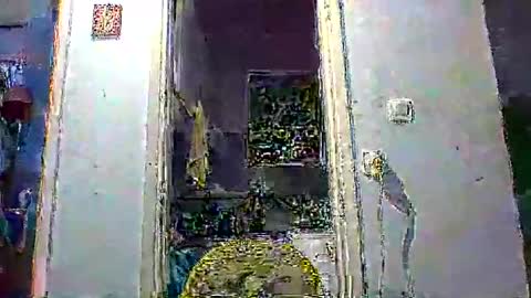 mppempis81 online show from January 14, 10:02 pm