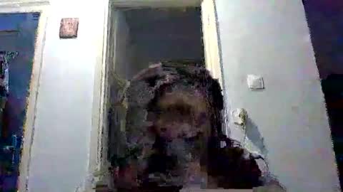 mppempis81 online show from January 8, 6:46 pm