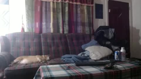 mr_happy12 online show from October 3, 6:18 am