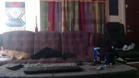 mr_happy12 online show from January 26, 4:51 am