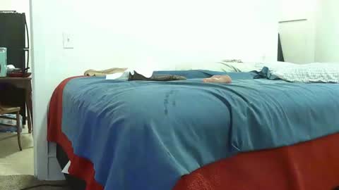 Chocolate meat pole 6511 online show from November 22, 11:04 pm