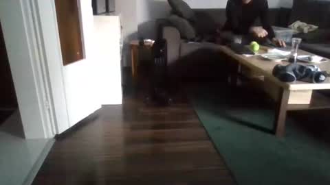 Nikola online show from February 17, 11:02 am