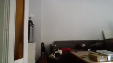 Nikola online show from January 21, 8:11 am