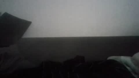 Nikola online show from October 26, 8:05 am