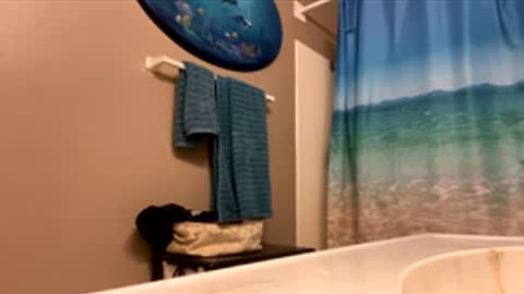 James online show from February 3, 1:58 am