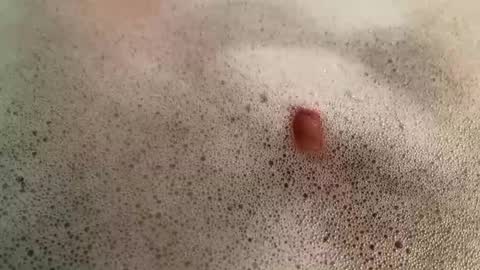 Steven online show from January 24, 7:28 pm