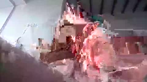 mucholover online show from February 24, 9:04 pm