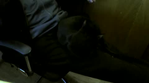 muller520 online show from December 16, 3:19 pm