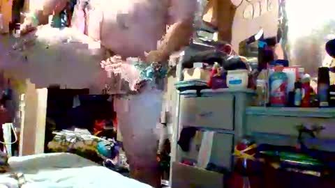 thethrill online show from April 2, 5:32 pm