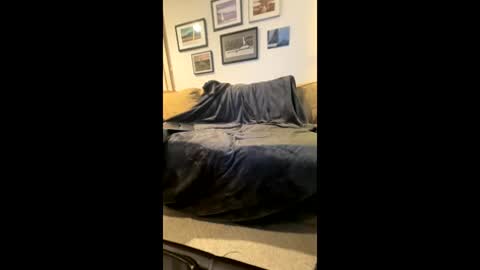 Masturbating boys need to be spanked. online show from February 4, 6:41 am