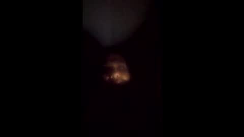 nakisa54 online show from April 10, 10:22 am