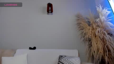 Jordan online show from January 4, 11:54 am