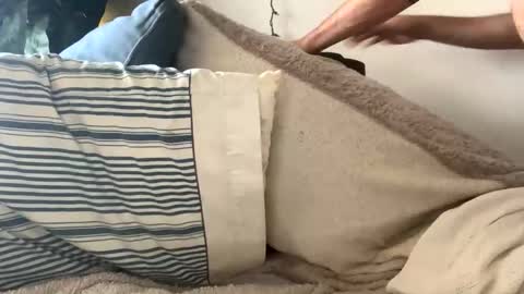 nutsteraj online show from December 16, 3:52 pm