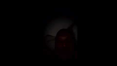 nicameat online show from May 14, 7:28 am