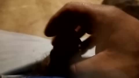 nicaraguanpapi23 online show from January 14, 10:31 am